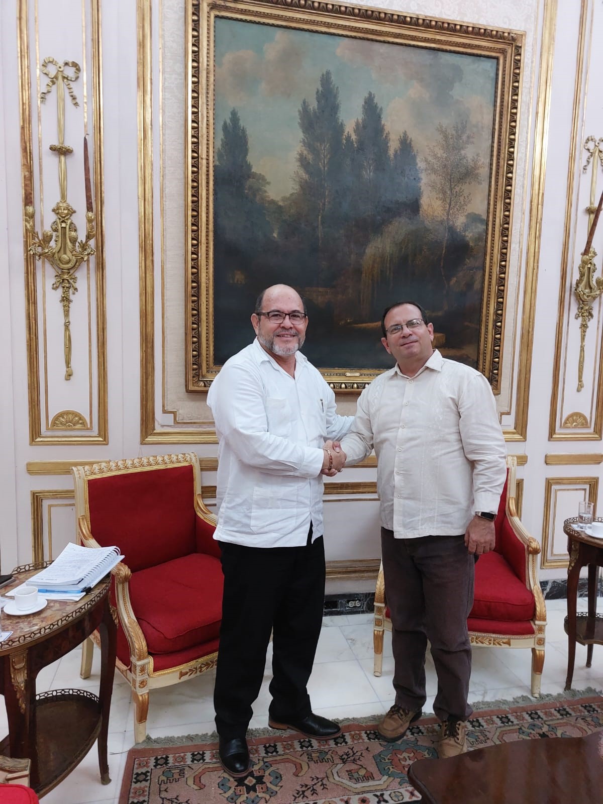 Nicaragua y Presidente del Instituto Cubano de Amistad con los Pueblos en encuentro de trabajo