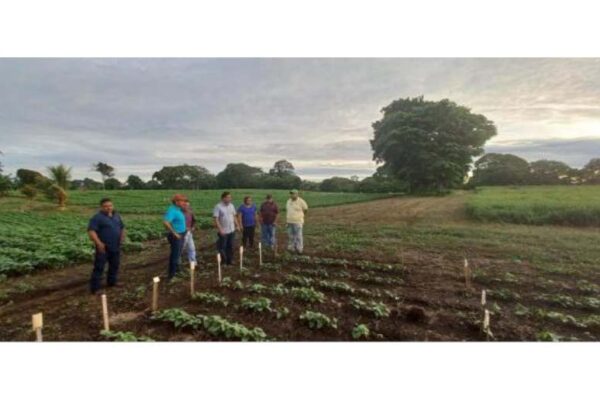 Recorrido por Centro Nacional de Investigación en Frijol en Masatepe