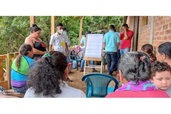 Productores de bosques de pinos con Marena