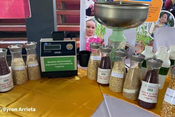 Fortalecen capacidad productiva de Nicaragua