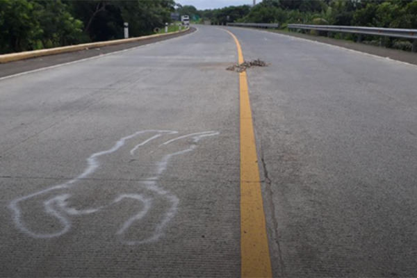 Tránsito Nacional: 748 colisiones se produjeron en una semana