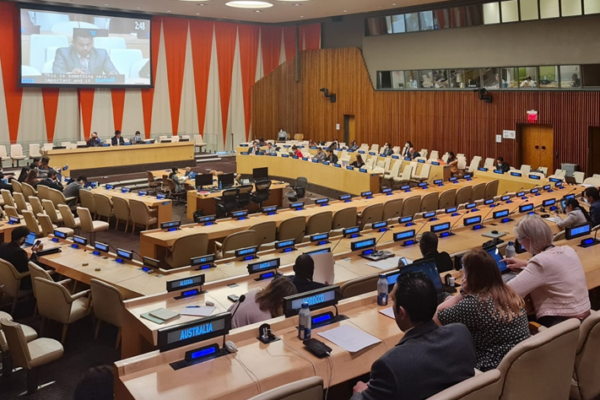 Nicaragua en reunión anual de Asuntos Humanitarios de la ONU