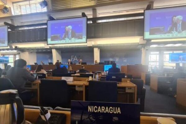 Nicaragua participa en sesiones del Consejo General de FAO