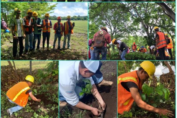 7 mil 400 árboles plantados en sitios de recarga de agua potable