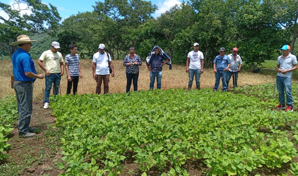 Estudiantes de UNICAM conocen manejo sanitario del café