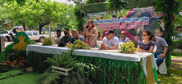 Oficializan campaña de reforestación en El Viejo