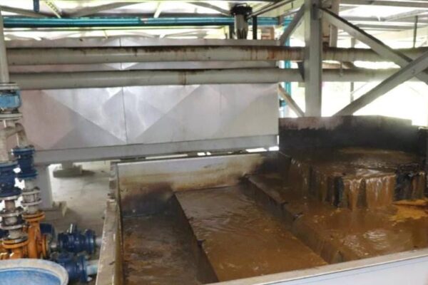 Empresa agroindustrial genera diariamente 35 mil toneladas de aceite vegetal