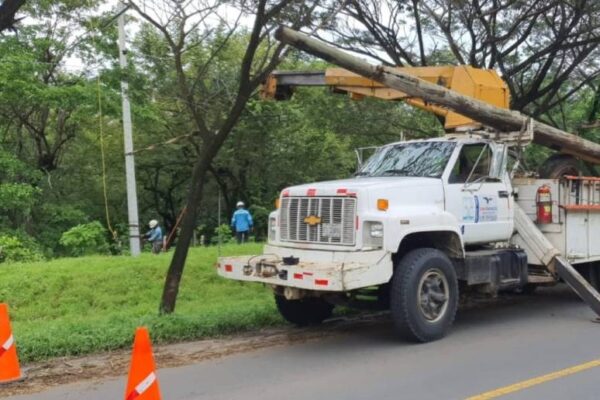 Tras paso de tormenta Bonnie trabajan para normalizar servicio de energía