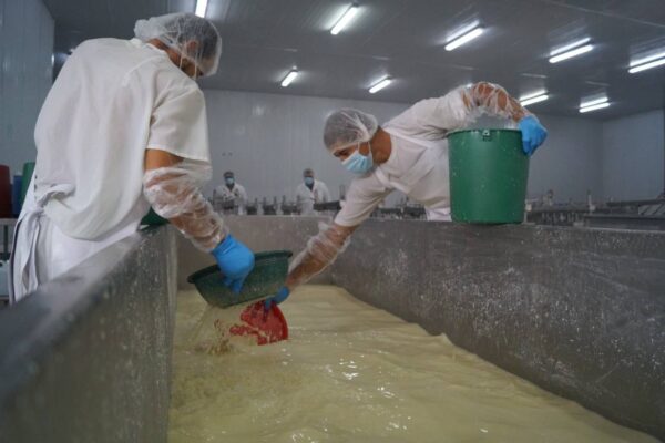Sistema Nacional de Producción conoce planta procesadora de lácteos, Lactonic