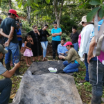 Establecen investigación sobre  micorrizas en cultivos de cacao