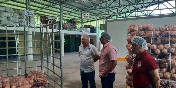 Gobierno visita empresa exportadora de raíces y tubérculos en San Ramón