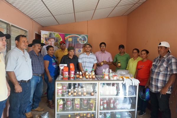 UCASA R.L. desarrolla sistemas florales innovadores