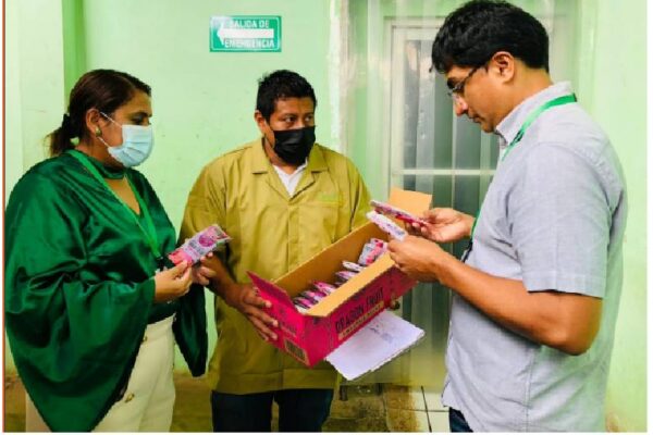 Conoce a Solorganica, empresa procesadora de frutas orgánicas