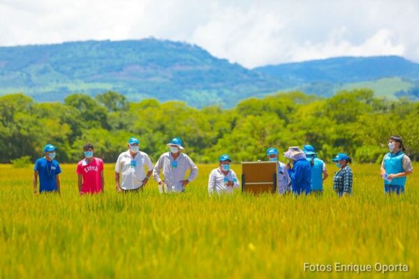 Nicaragua realiza importantes estudios del sector agropecuario