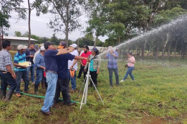 Nicaragua promueve uso eficiente de sistemas de riego en cultivos