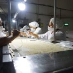 Central de Cooperativas del Campo destaca por su producción de ajonjolí