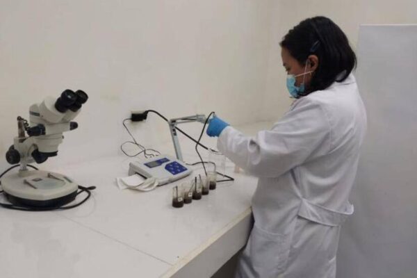 Nicaragua estudia fertilidad de suelos en plantaciones de café