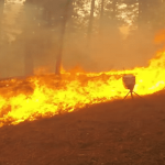 Dos fallecidos tras incendio en California, EE.UU.