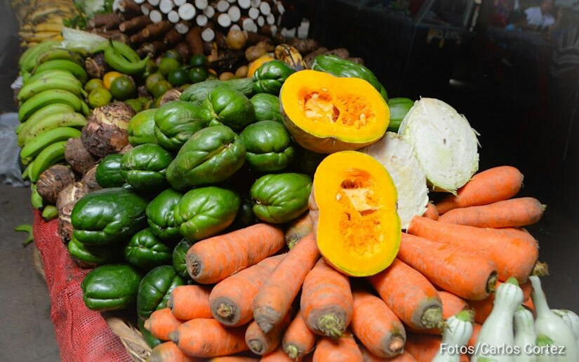 Nicaragua prevé buena salida de cosecha de hortalizas