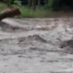 COMUNICADO DE PRENSA