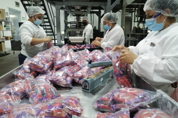 Cukra Industrial con buen ritmo en la producción de maní