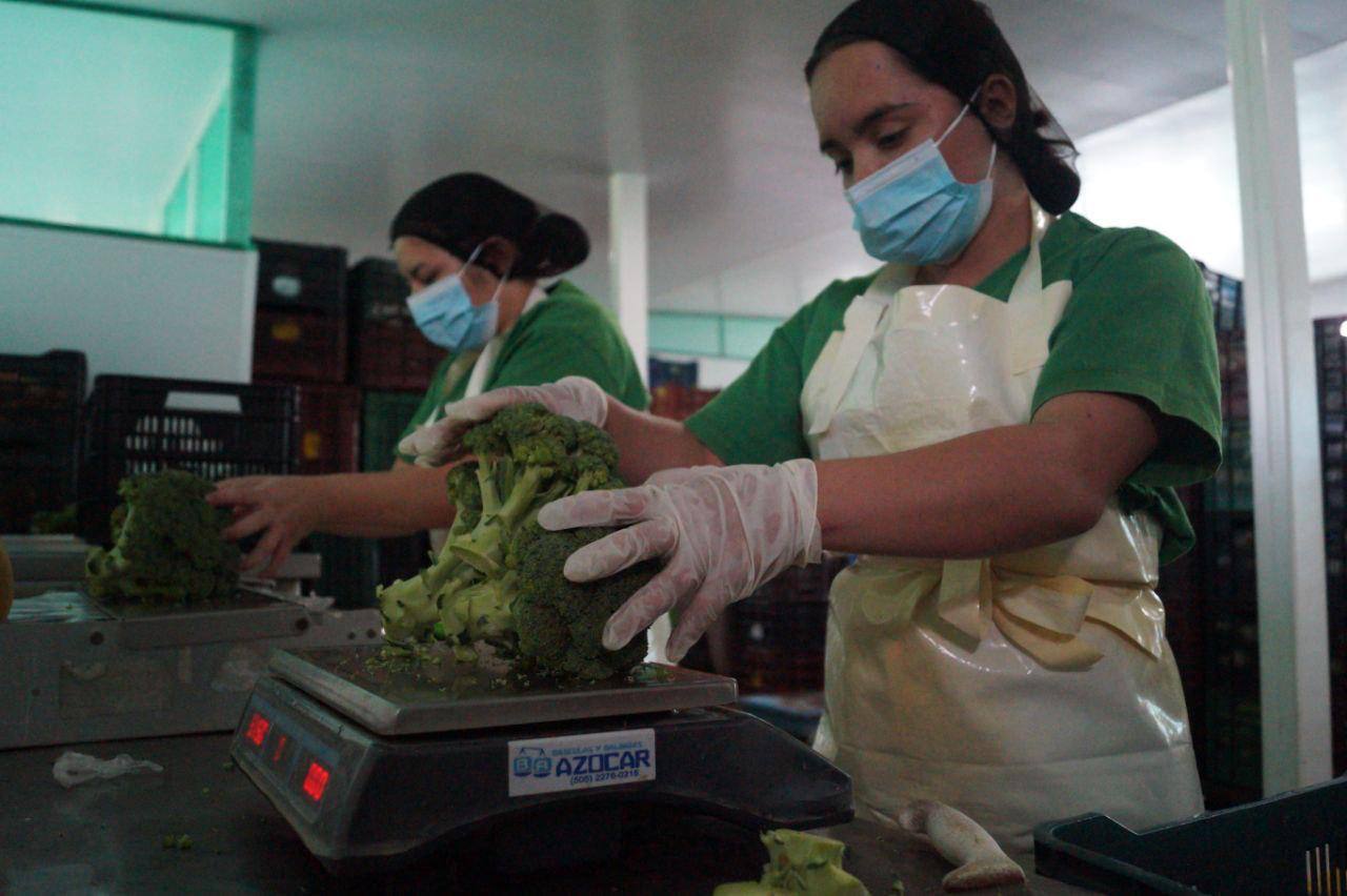 La Tomatoya y sus buenas prácticas de agrícolas