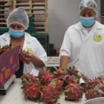 Conozca más sobre Socorro Enterprises