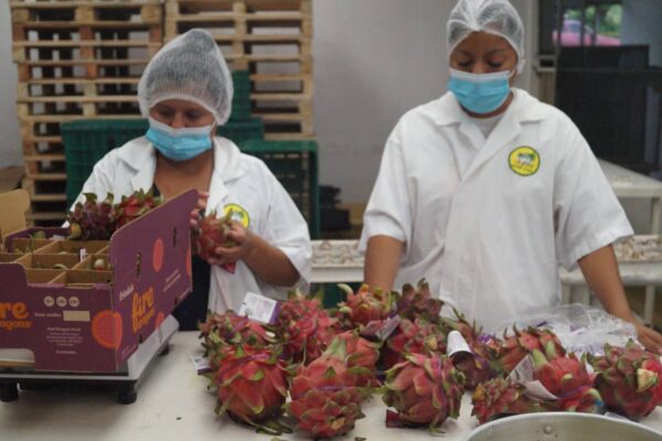 Conozca más sobre Socorro Enterprises