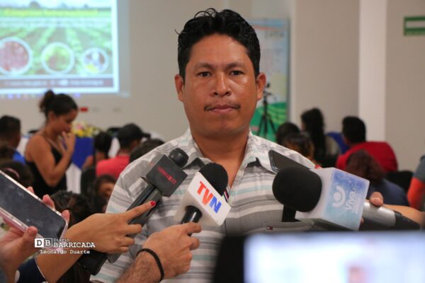 Semillas con alta resistencia al cambio climático favorece producción de frijol