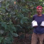Familias productoras fortalecen la economía con apoyo técnico, créditos y nuevas semillas de café