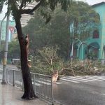 Nicaragua expresa solidaridad con Cuba tras paso de huracán Ian