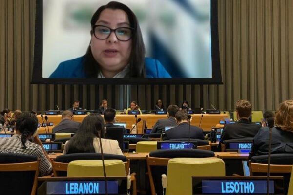 Nicaragua participa de sesiones del Comité Ad Hoc en Naciones Unidas