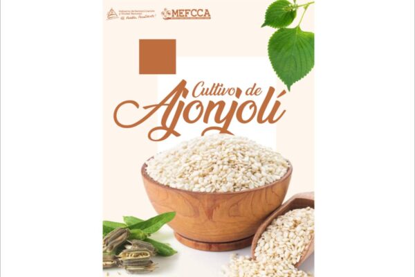 Nicaragua dispone de 20 cartillas para promoción de cultivos con potencial de exportación