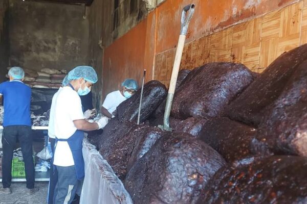 Amerikita y su trabajo con el tamarindo