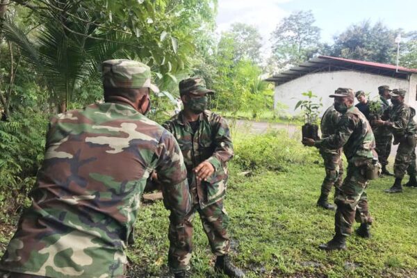 Ejército participa de descargue de plantas forestales
