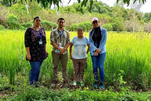 Experiencias de producción agrícola en armonía con la naturaleza de Diriomo