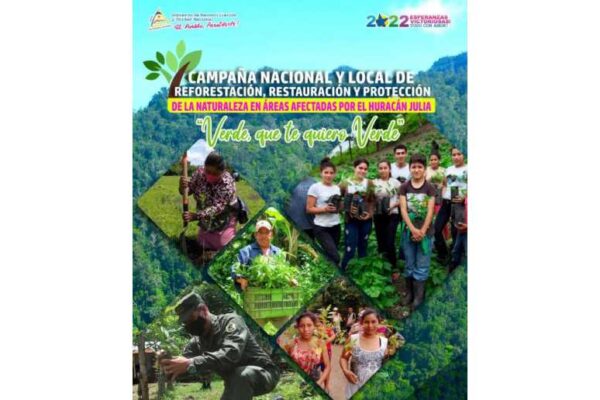 Nicaragua preparada para reforestar en zonas afectadas por huracán Julia