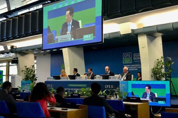 Nicaragua asiste a sesiones del Comité de Seguridad Alimentaria Mundial