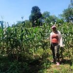 Gobierno de Nicaragua acompaña a fincas sostenibles de Matagalpa