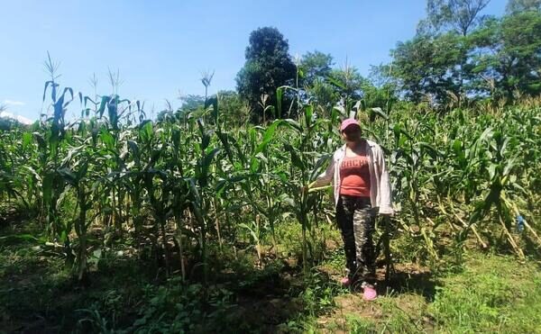 Gobierno de Nicaragua acompaña a fincas sostenibles de Matagalpa