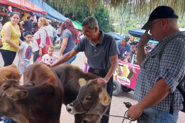 Matagalpa sede de Expo Feria Ganadera