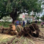 Nicaragua intercambia información preliminar sobre consecuencias ocasionadas por Julia