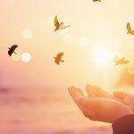 Edwin Sánchez: De Nicaragua solo vida y paz a Estados Unidos