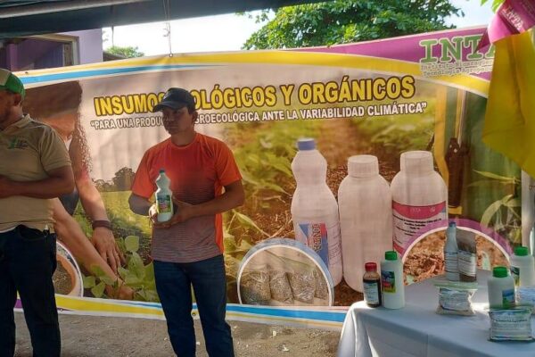 Nicaragua con nuevos insumos biológicos para frutas