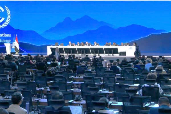 Nicaragua asiste al cierre de la COP 27