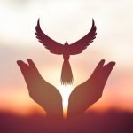 Edwin Sánchez: Proclama Nacional por la Paz en voz alta