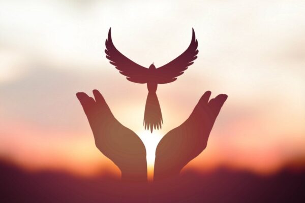 Edwin Sánchez: Proclama Nacional por la Paz en voz alta