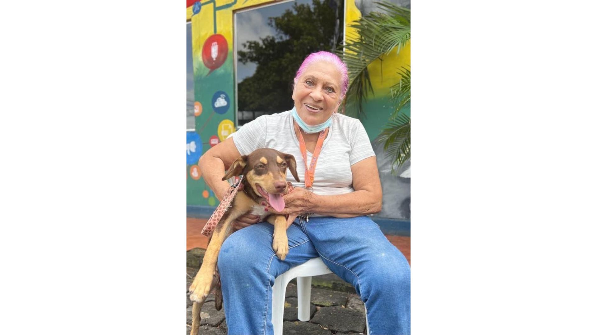 Jóvenes demuestran su amor por las mascotas con atenciones gratuitas