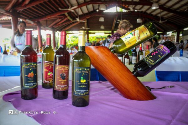 Nicaragua apuesta por diversificar producción de vinos