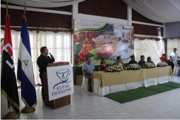 Oficializan Taza de Excelencia Nicaragua 2023